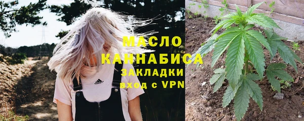 ГАЛЛЮЦИНОГЕННЫЕ ГРИБЫ Горно-Алтайск