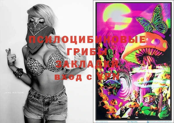 синтетический гашиш Горнозаводск