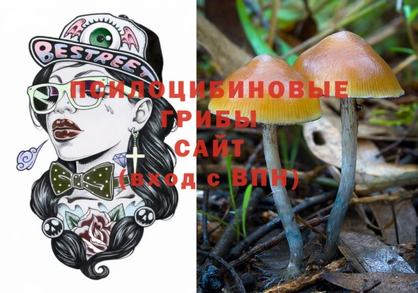 синтетический гашиш Горнозаводск