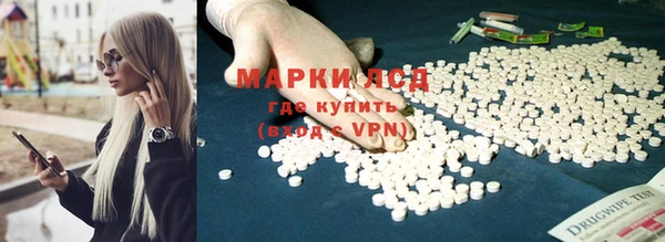 ГАЛЛЮЦИНОГЕННЫЕ ГРИБЫ Горно-Алтайск