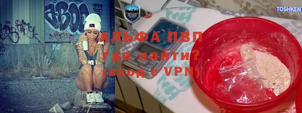 ГАЛЛЮЦИНОГЕННЫЕ ГРИБЫ Горно-Алтайск