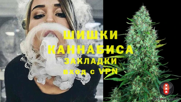 ГАЛЛЮЦИНОГЕННЫЕ ГРИБЫ Горно-Алтайск