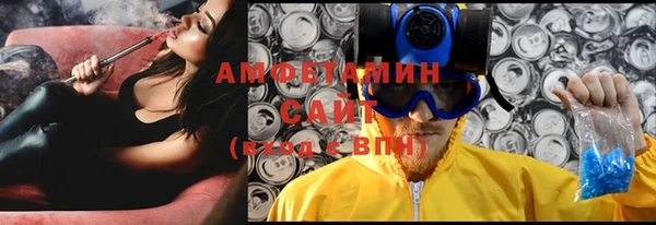 ГАЛЛЮЦИНОГЕННЫЕ ГРИБЫ Горно-Алтайск