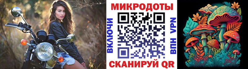 Галлюциногенные грибы GOLDEN TEACHER  Купить закладки  Качканар 